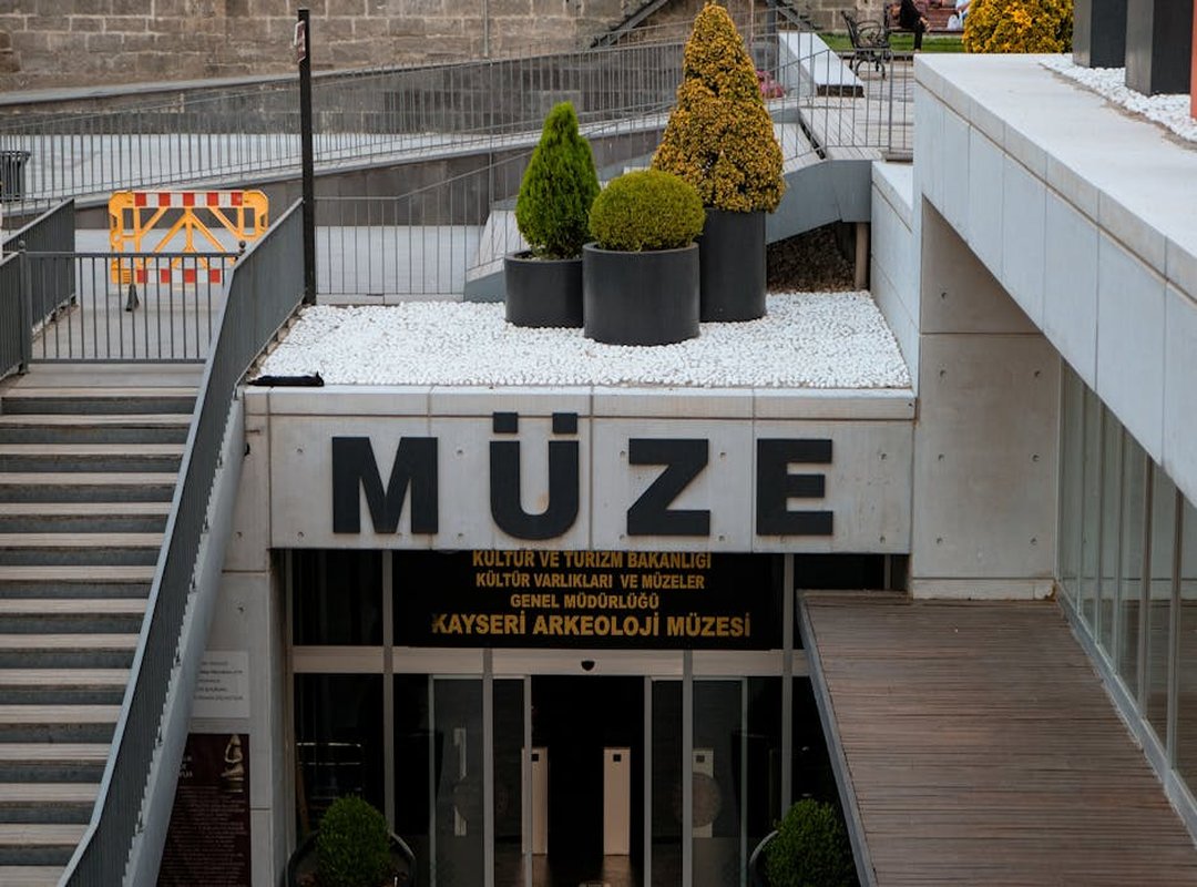 Case Studies: Icons of Catheez Allure