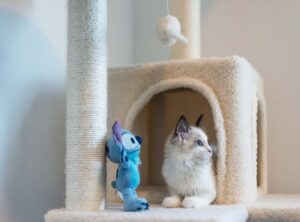 tierno:ykhlsx4s-ye= stitch