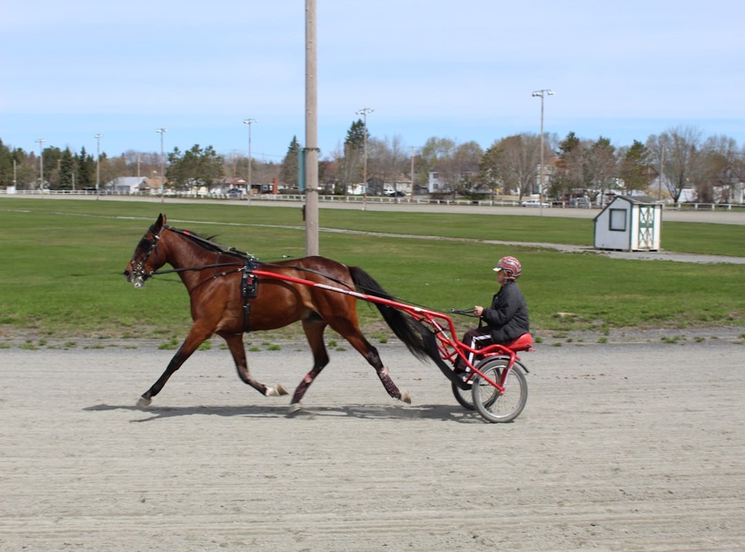 momentum shifts gaming