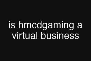is hmcdgaming a virtual business